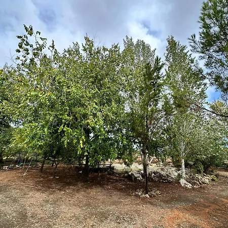 El Refugio Archidona Villa